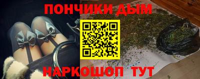 шишки Гатчина