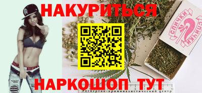 шишки Гатчина