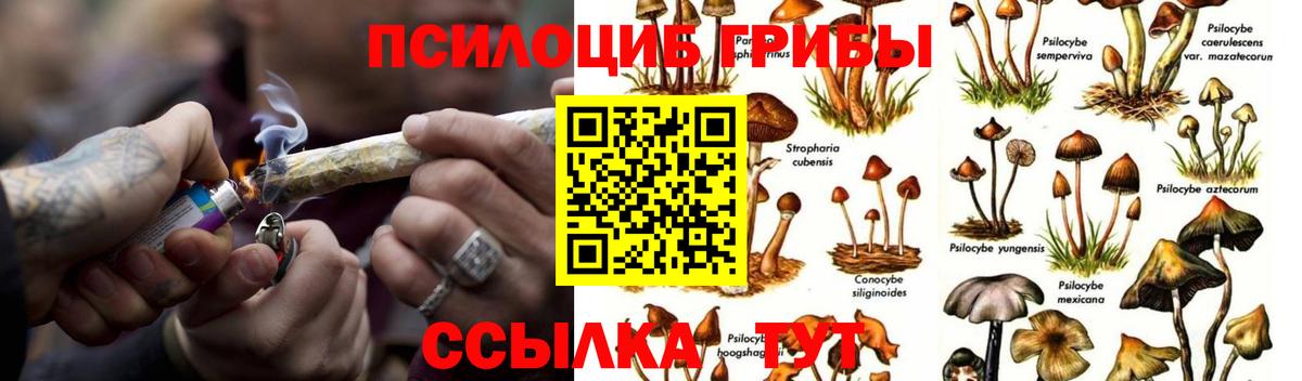 Галлюциногенные грибы Cubensis  Вход с VPN  Мариинск  Псилоцибиновые грибы прущие грибы 